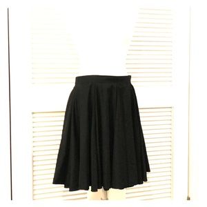 American Apparel A Line Pleated Skirt